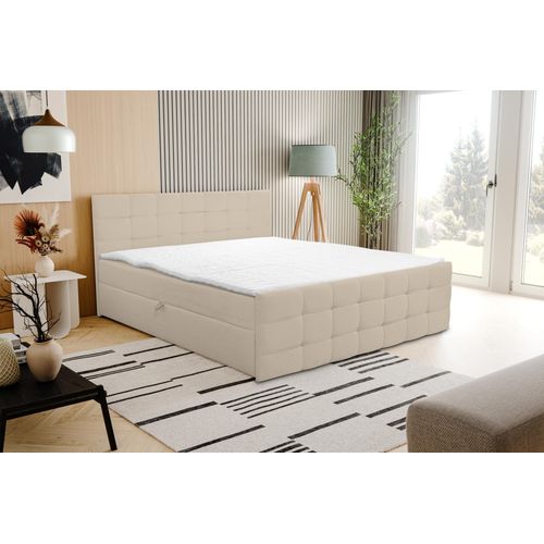 VENASI NATALIE Boxspringbett 160x200 mit 2 Bettkasten H2/H3 Matratze BEIGE Cosmic 10