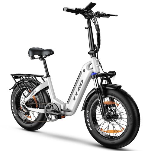 E-Bike Cityrad 20 Zoll TTGO 250W36V20Ah Schneemobil/City E-bike mit fetten Reifen