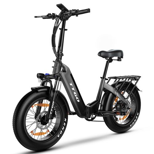 E-Bike Cityrad 20 Zoll TTGO 250W36V20Ah Schneemobil/City E-bike mit fetten Reifen