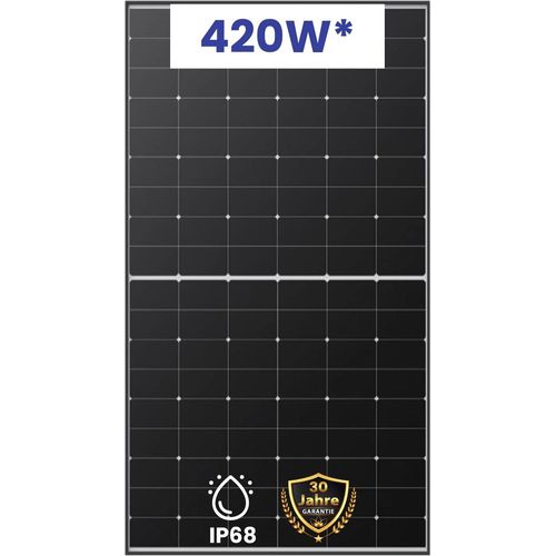 10x 420W Monokristallines Modul