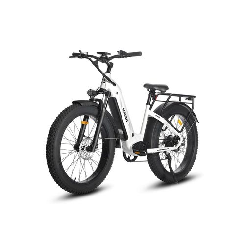 E-Bike Pendler E-Bike HAOQI 250W 48V 20Ah Mountain/City bike