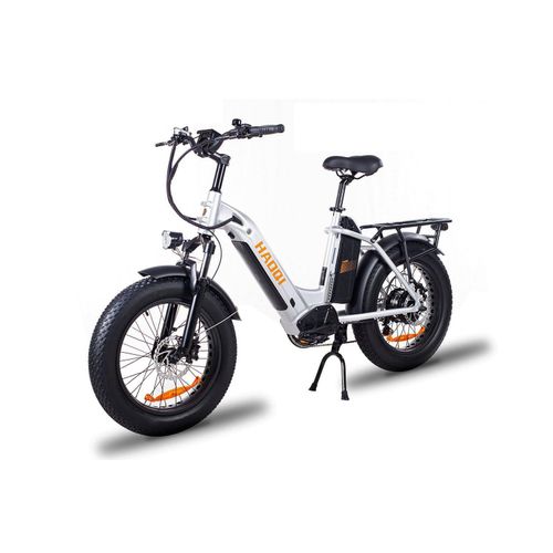 E-Bike Cityrad HA0Ql Antelope 20 zoll 48V 15AH + 10AH Dual-Akkus Lasten E-Bike 2.0