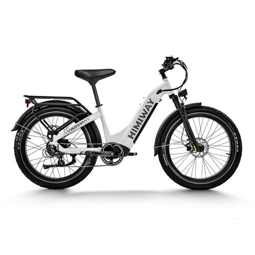 D5 (Zebra) | Das vielseitige elektrische Fatbike für jedes Terrain