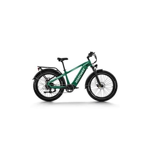 D5 (Zebra) | Das vielseitige elektrische Fatbike für jedes Terrain