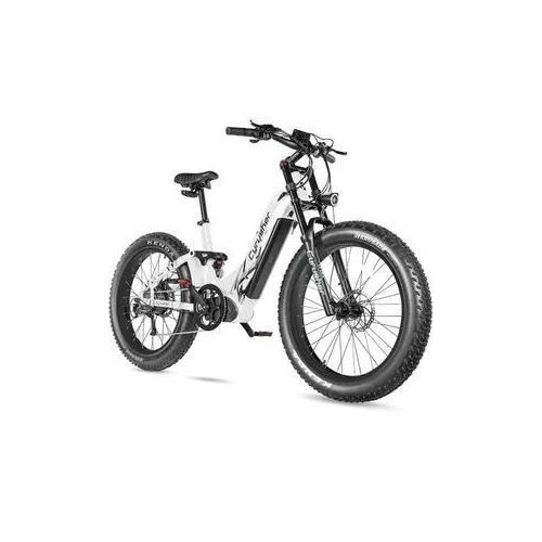 E-Bike All-Terrain-Elektrofahrrad,52V 20Ah. Drehmoment-Sensor 250W Motor 80 Nm