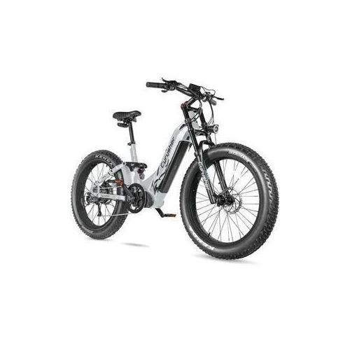 E-Bike All-Terrain-Elektrofahrrad,52V 20Ah. Drehmoment-Sensor 250W Motor 80 Nm