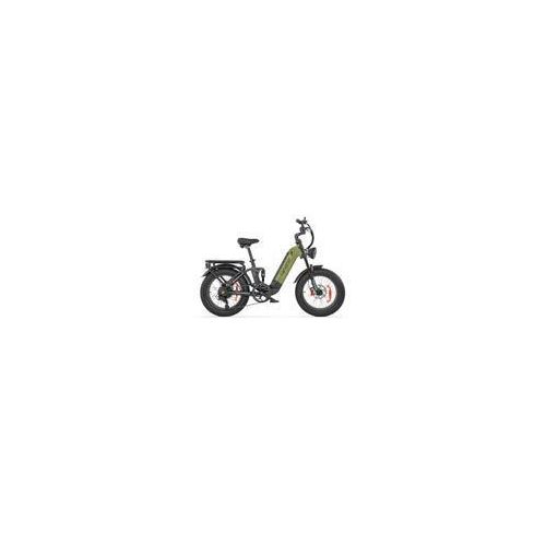 E-Bike Cityrad 20*4 Zoll Elektrofahrrad, 250W 48V20Ah Vollfederung, Shimano 7-Speed