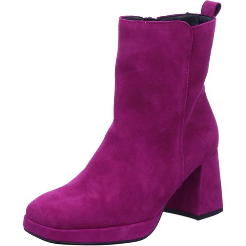 Stiefelette Gabor 55.720 10, 55.720 10, 55.720 10, 55.720 10, 55.720 10, 55.720 10