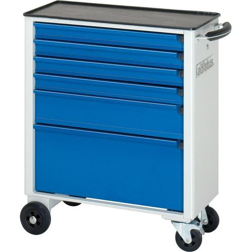 Rau Werkzeugwagen mit 6 Schubladen Metall BxTxH 700x350x860mm