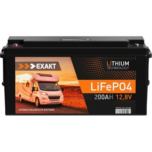LiFePO4 200Ah 12V Lithium Batterie Wohnmobil Solar USV