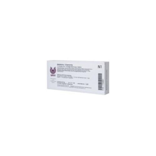 BELLADONNA CHAMOMILLA Ampullen 10X1 ml