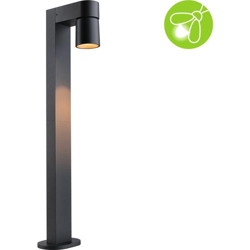 Paulmann LED Pollerleuchte Kimu insektenfreundlich