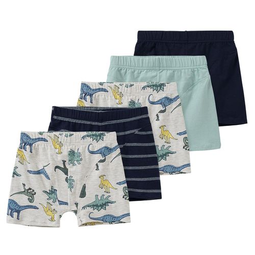 5 Jungen Boxer in verschiedenen Dessins
