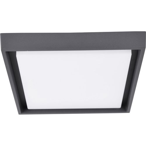 Näve Leuchten LED Außendeckenleuchte MIO mit LED Platine LED Außendeckenleuchte MIO mit LED Platine LED Außendeckenleuchte IP54 