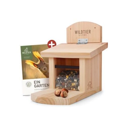 wildtier liebe Eichhörnchen Futterhaus