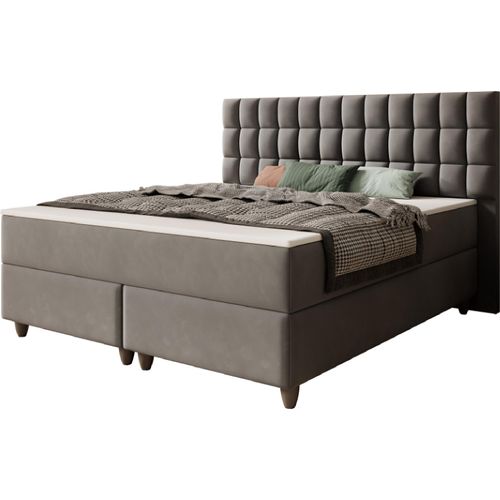 Boxspringbett WIEN 180x200cm Samt Anthrazit TFK