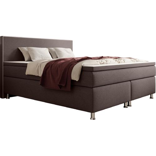 Boxspringbett Gent 180x200cm Braun TFK, Maße:180x200 cm