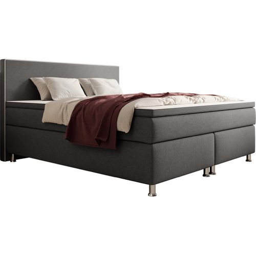 Boxspringbett Gent 180x200cm Anthrazit TFK
