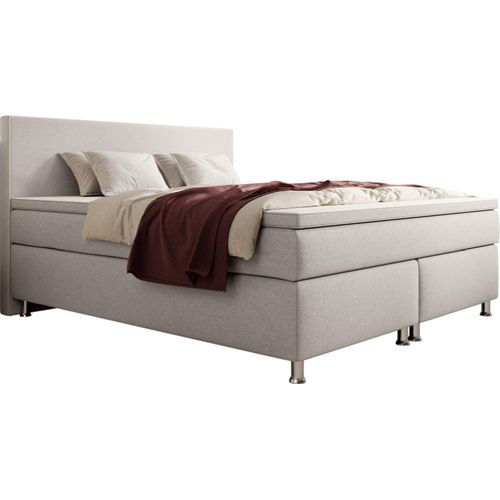 Boxspringbett Gent 180x200cm Silbergrau TFK