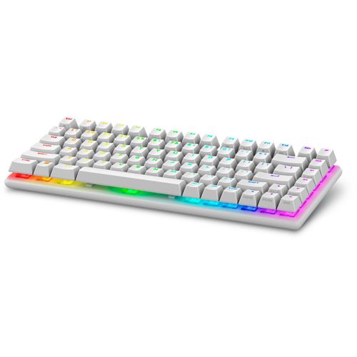 Tastatur Dell Alienware Pro Wireless Gaming-Tastatur – US (QWERTY) (Lunar Light)