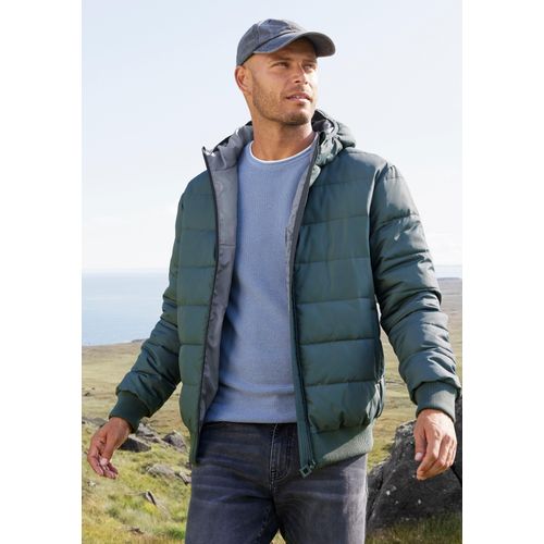 Steppjacke JOHN DEVIN, Herren, Gr. M (48/50), grün (dunkel grün), Web, Obermaterial: 100% Polyester. Futter: 100% Polyester. Wattierung: 100% Polyester, unifarben, casual, Basic, Langarm angesetztes Bündchen, Jacken, Outdoorjacke mit Strickbündchen