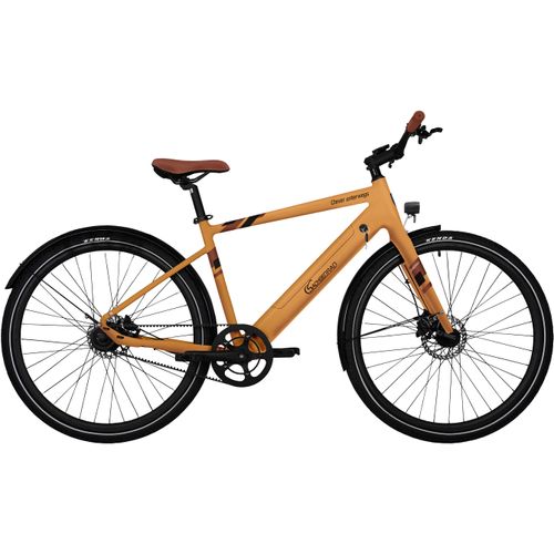 E-Bike SACHSENRAD 