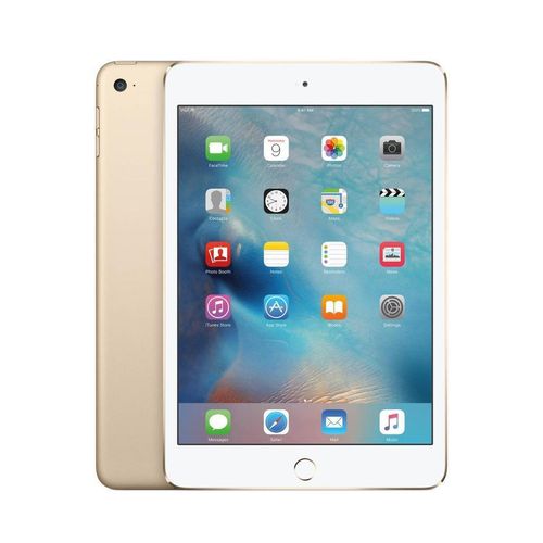 iPad mini 7.9