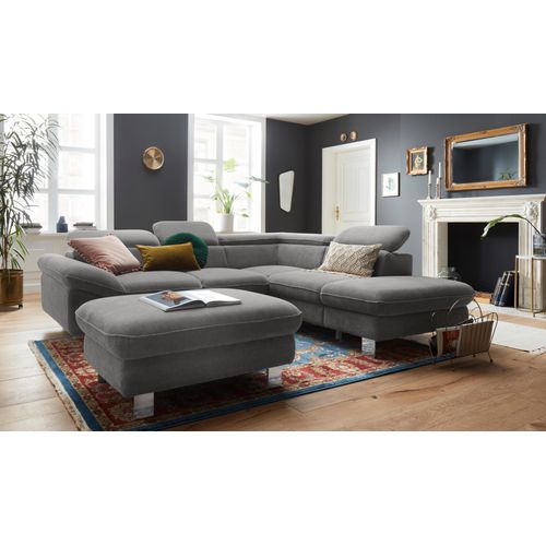 Hocker COTTA 