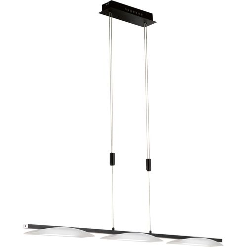 FISCHER & HONSEL Pendelleuchte 
