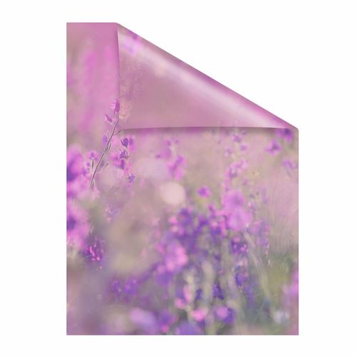 Fensterfolie LICHTBLICK ORIGINAL 
