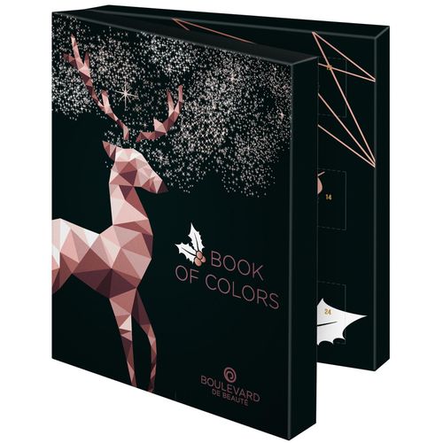 Adventskalender Nagellack Buch der Farben