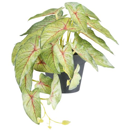Kunstpflanze CREATIV GREEN 