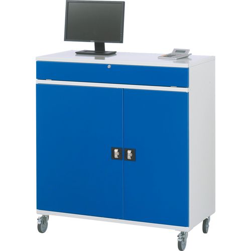 Rau Computer-Schrank - Modell 60 BxTxH 1100x520x1185 mm