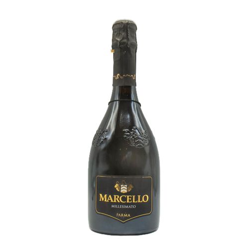 Lambrusco Ariola 'Marcello' Millesimato Nero 75 cl