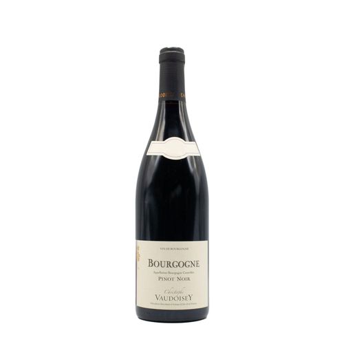 Domaine Christophe Vaudoisey Bourgogne Rouge Vaudoisey 2022 75 cl