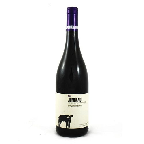 San Salvatore 1988 Aglianico San Salvatore 'Jungano' 2021 75 cl