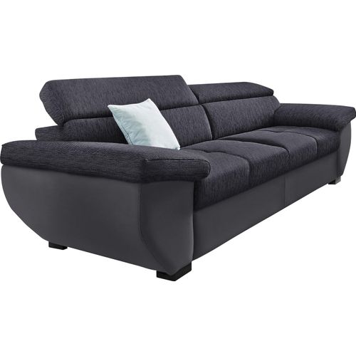 2,5-Sitzer COTTA 