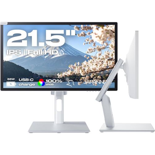 Monitor für den Bürobereich | 21,5