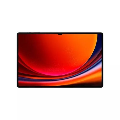 Galaxy Tab S9+ 512GB - Grau - WLAN