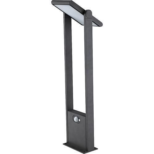 EVN Lichttechnik Solar-LED-Wegeleuchte PLS541502