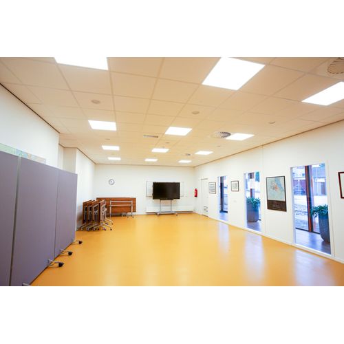 Panel Essential 36W/840 600mm wt