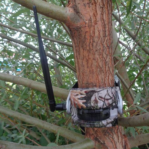 Bearstep Bewegungsmelder Gamewatch 2+1
