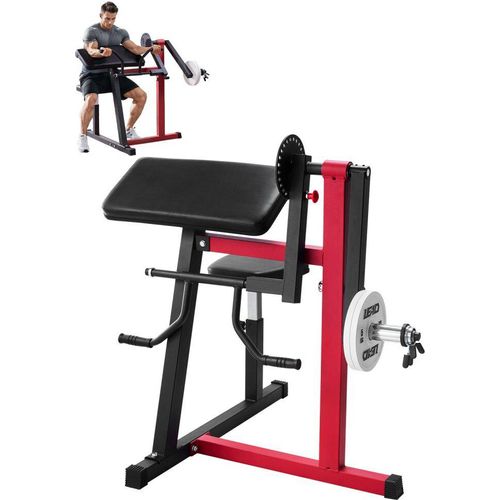 Curlbank 2 in 1 für Bizep und Trizeps - Extensionsmaschine Trainingsgerät - Fitnessgerät für Muskelaufbau