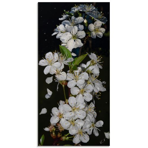 Glasbild ARTLAND 
