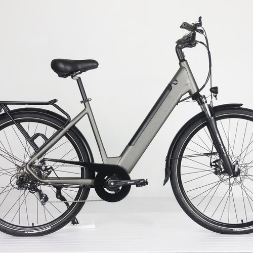 E-Bike City Pro mit 250W Hinterradmotor, 36V13.6AH Lithium Batterie, 28
