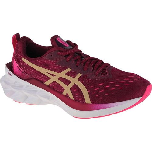 Asics Novablast 2 Dried Berry/Champagne Dried Berry/Champagne 39