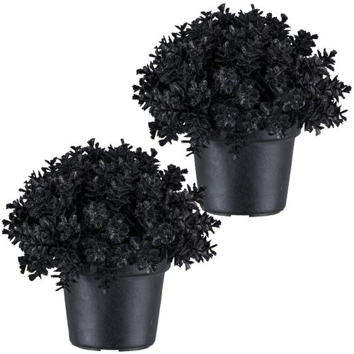 Kunstpflanze CREATIV GREEN 