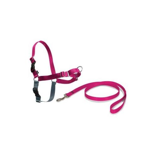 Easy Walk Anti-Zieh-Hundegeschirr himbeere M