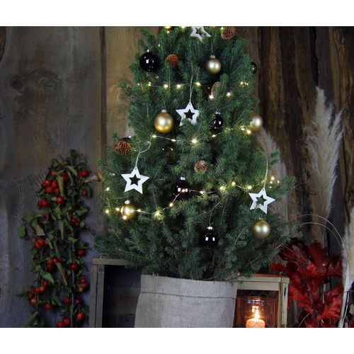 Tchibo - Echtes Weihnachtsbäumchen mit Dekoration - braun