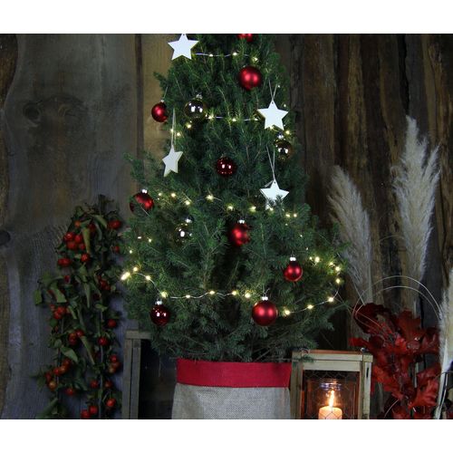 Tchibo - Echtes Weihnachtsbäumchen mit Dekoration - braun